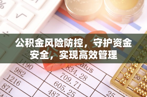 儋州公积金风险防控，守护资金安全，实现高效管理