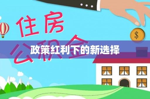 儋州政策红利下的新选择