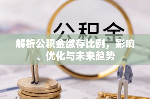 儋州解析公积金缴存比例，影响、优化与未来趋势