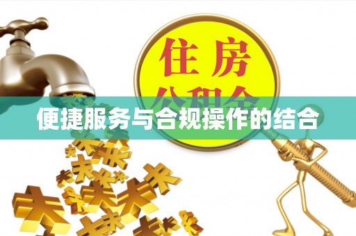 儋州便捷服务与合规操作的结合