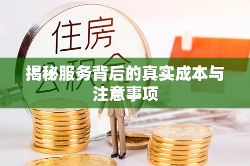 儋州揭秘服务背后的真实成本与注意事项