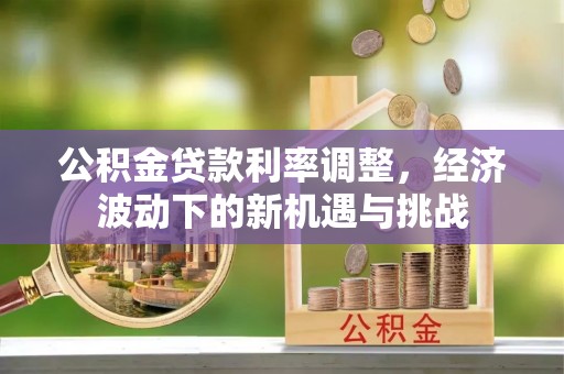 儋州公积金贷款利率调整，经济波动下的新机遇与挑战