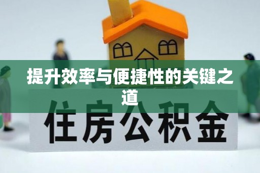 儋州提升效率与便捷性的关键之道