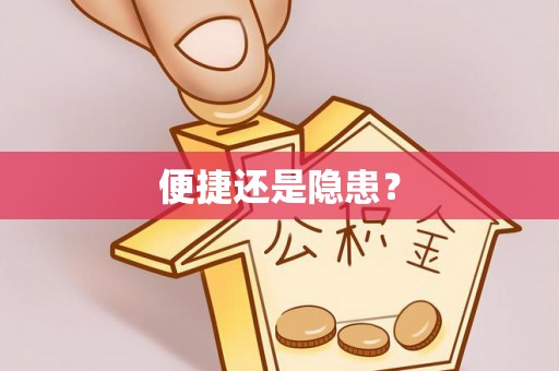 儋州便捷还是隐患？