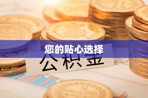 儋州您的贴心选择