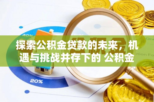 儋州探索公积金贷款的未来，机遇与挑战并存下的 公积金贷款风险防控