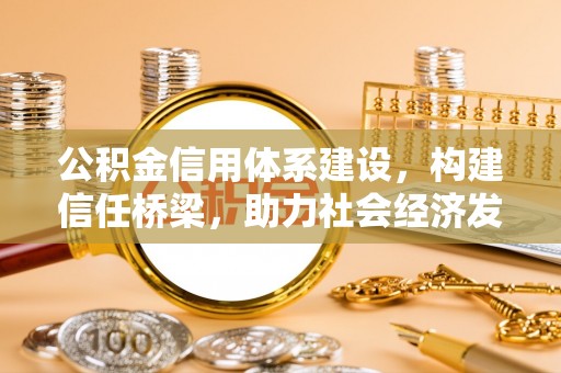 儋州公积金信用体系建设，构建信任桥梁，助力社会经济发展