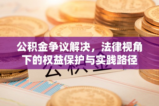 儋州公积金争议解决，法律视角下的权益保护与实践路径