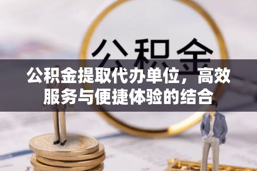 儋州公积金提取代办单位，高效服务与便捷体验的结合