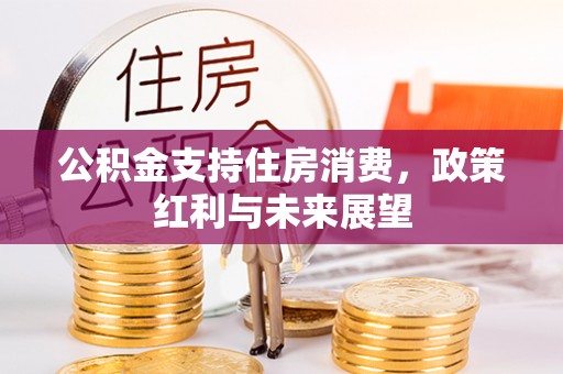 儋州公积金支持住房消费，政策红利与未来展望
