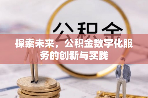儋州探索未来，公积金数字化服务的创新与实践