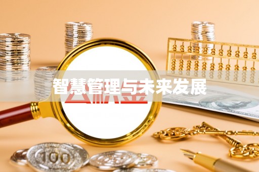 儋州智慧管理与未来发展