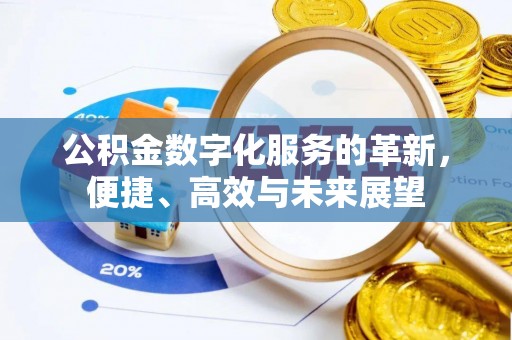 儋州公积金数字化服务的革新，便捷、高效与未来展望