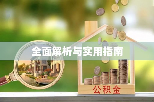 儋州全面解析与实用指南