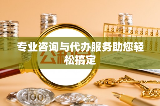 儋州专业咨询与代办服务助您轻松搞定