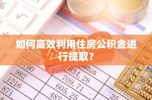 儋州如何高效利用住房公积金进行提取？