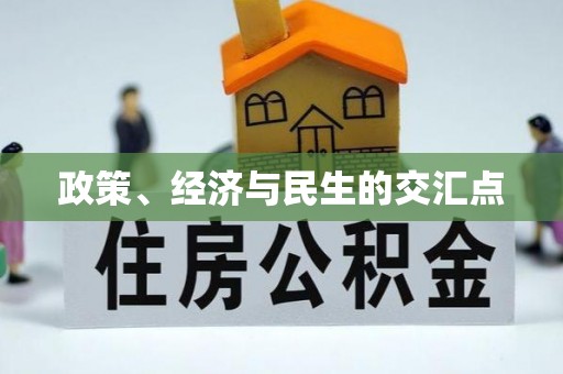 儋州政策、经济与民生的交汇点