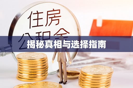 儋州揭秘真相与选择指南