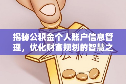 儋州揭秘公积金个人账户信息管理，优化财富规划的智慧之选