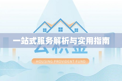 儋州一站式服务解析与实用指南