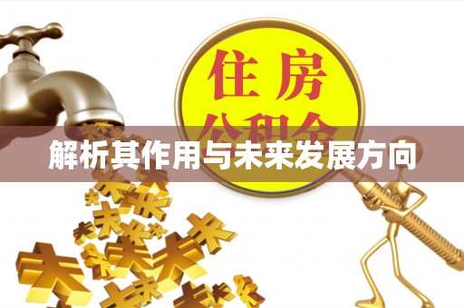 儋州解析其作用与未来发展方向