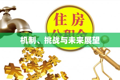 儋州机制、挑战与未来展望
