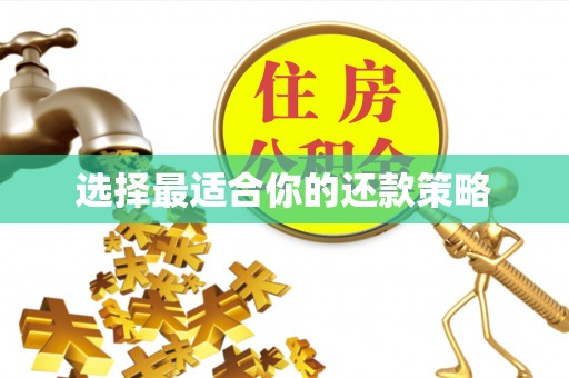 儋州选择最适合你的还款策略