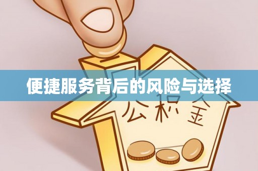 儋州便捷服务背后的风险与选择