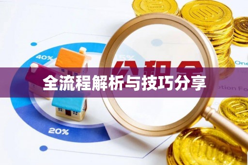 儋州全流程解析与技巧分享