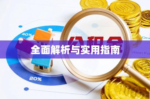 儋州全面解析与实用指南