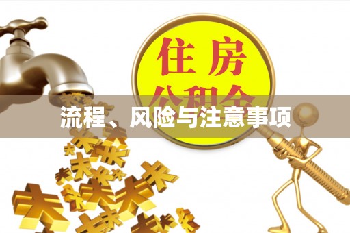 儋州流程、风险与注意事项