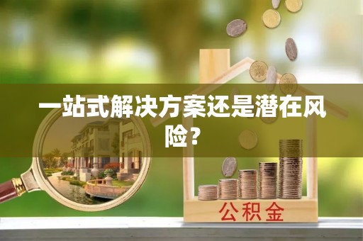 儋州一站式解决方案还是潜在风险？