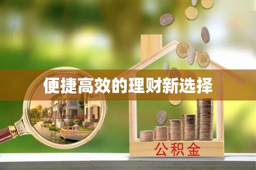 儋州便捷高效的理财新选择