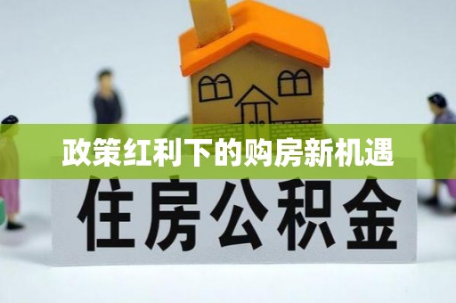 儋州政策红利下的购房新机遇