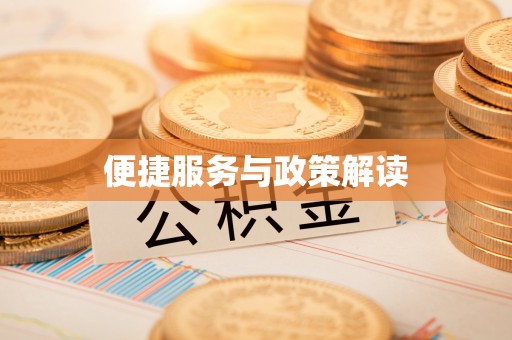 儋州便捷服务与政策解读
