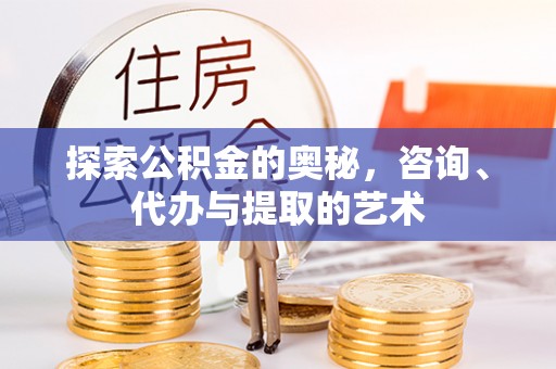 儋州探索公积金的奥秘，咨询、代办与提取的艺术