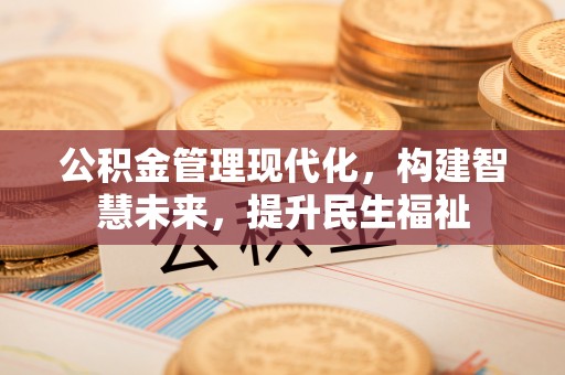 儋州公积金管理现代化，构建智慧未来，提升民生福祉