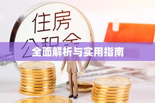 儋州全面解析与实用指南