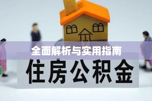儋州全面解析与实用指南