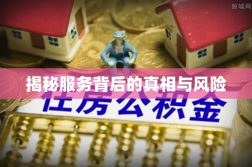 儋州揭秘服务背后的真相与风险