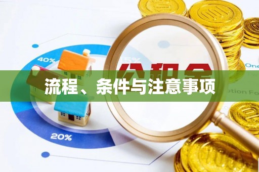 儋州流程、条件与注意事项